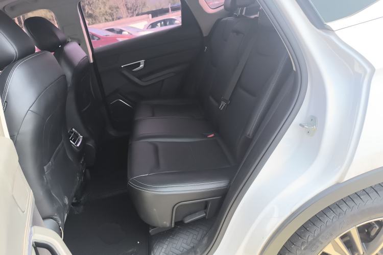 Used BYD Song Pro 2019 1.5T Automatic Luxury Model Left Rear Seat
