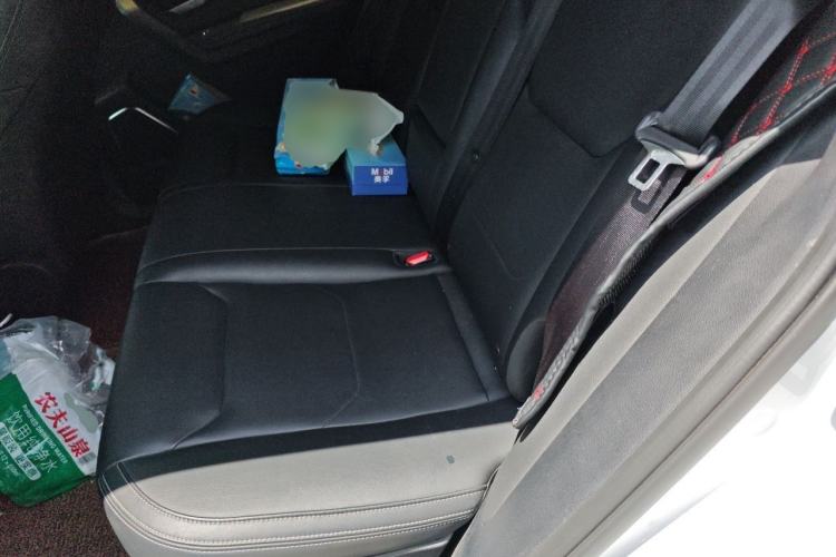 Used BYD Song Pro 2019 1.5T Automatic Luxury Model Left Rear Seat