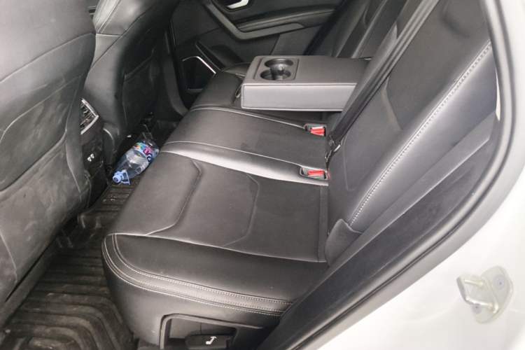 Used BYD Song Pro 2019 1.5T Automatic Luxury Model Left Rear Seat