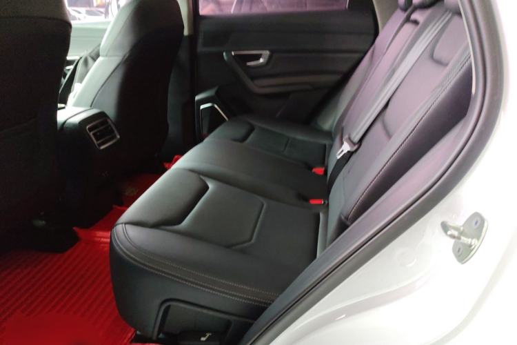 Used BYD Song Pro 2019 1.5T Automatic Prestige Model Left Rear Seat