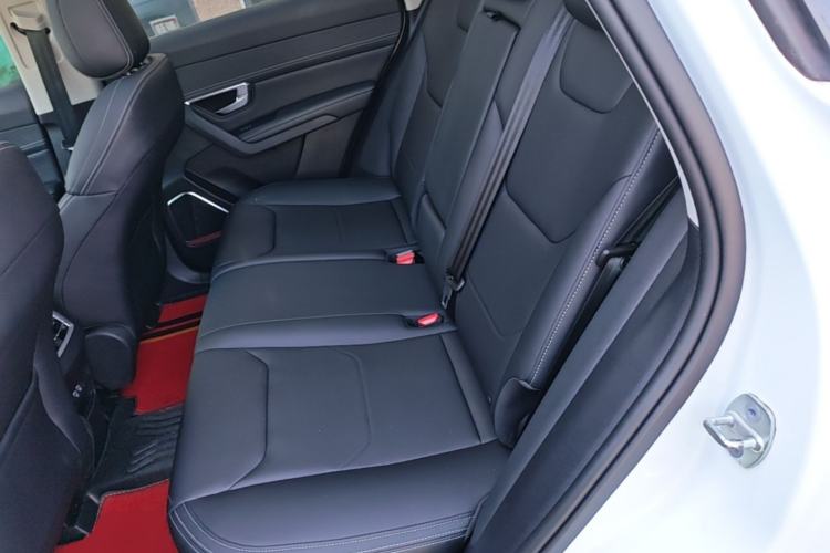 Used BYD Song Pro 2019 1.5T Automatic Luxury Model Left Rear Seat