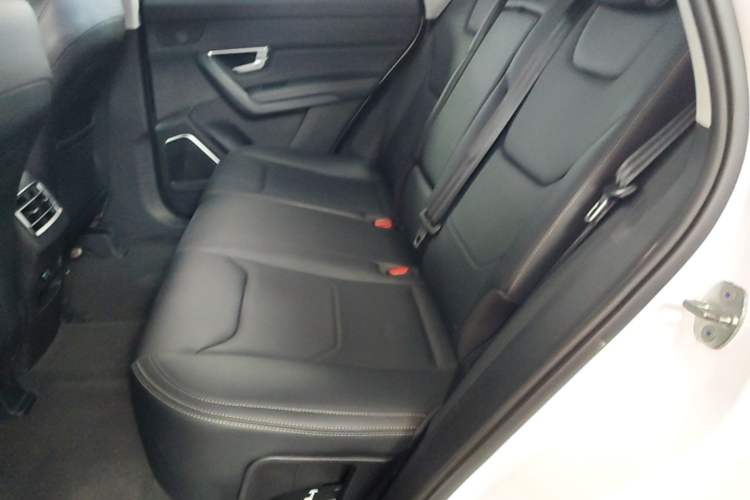 Used BYD Song Pro 2019 1.5T Automatic Luxury Model Left Rear Seat