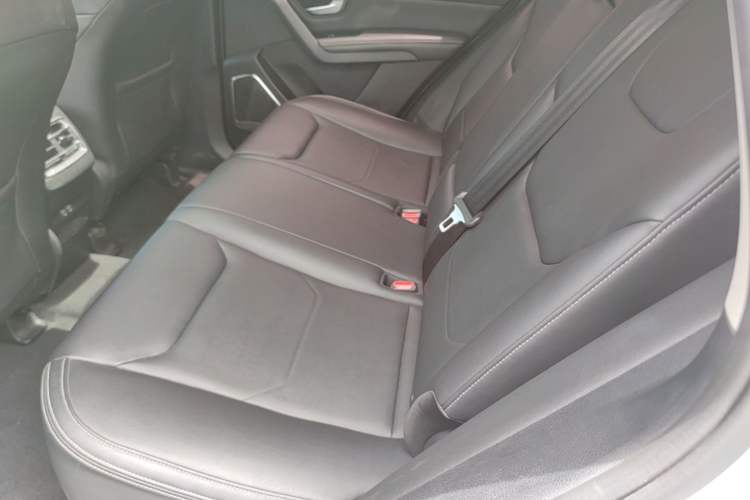 Used BYD Song Pro 2019 1.5T Automatic Luxury Model Left Rear Seat