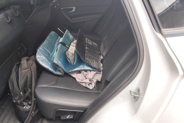 Used BYD Song Pro 2019 1.5T Automatic Prestige Model Left Rear Seat