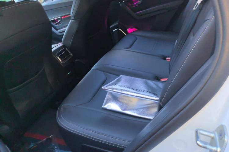 Used BYD Song Pro 2019 1.5T Automatic Elite Edition Left Rear Seat