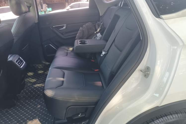 Used BYD Song Pro 2019 1.5T Automatic Luxury Model Left Rear Seat
