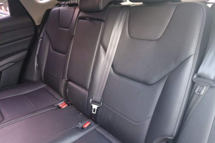 Used BYD Song Pro 2019 1.5T Automatic Luxury Model Left Rear Seat