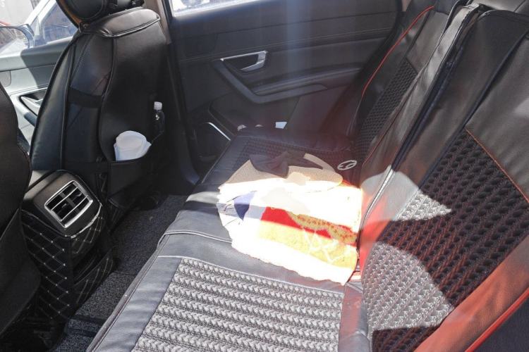 Used BYD Song Pro 2019 1.5T Automatic Luxury Model Left Rear Seat
