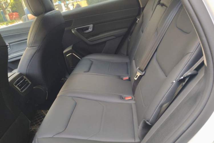 Used BYD Song Pro 2019 1.5T Automatic Luxury Model Left Rear Seat