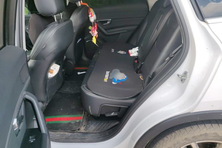 Used BYD Song Pro 2019 1.5T Automatic Luxury Model Left Rear Seat