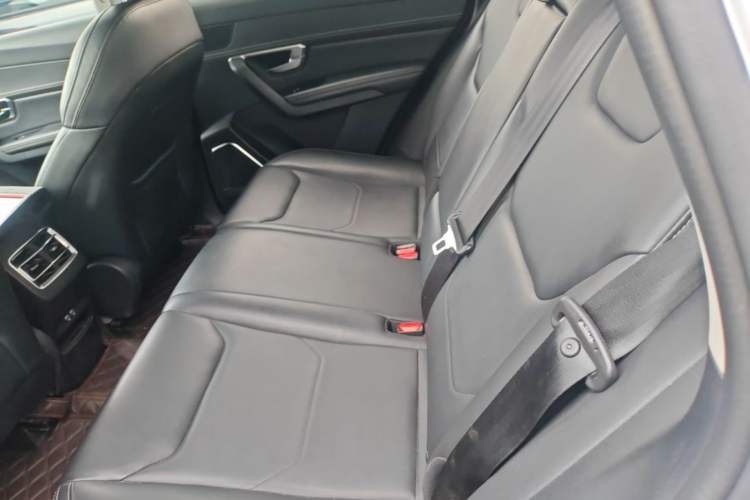 Used BYD Song Pro 2019 1.5T Automatic Luxury Model Left Rear Seat