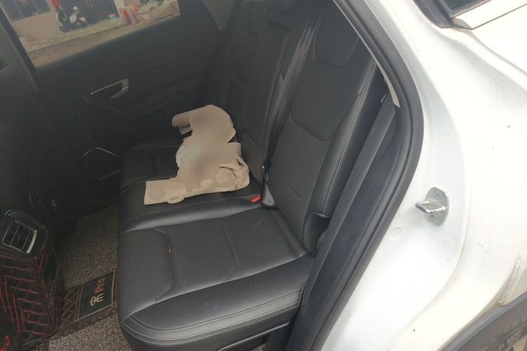 Used BYD Song Pro 2019 1.5T Automatic Prestige Model Left Rear Seat