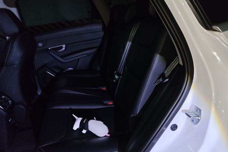 Used BYD Song Pro 2019 1.5T Automatic Luxury Model Left Rear Seat