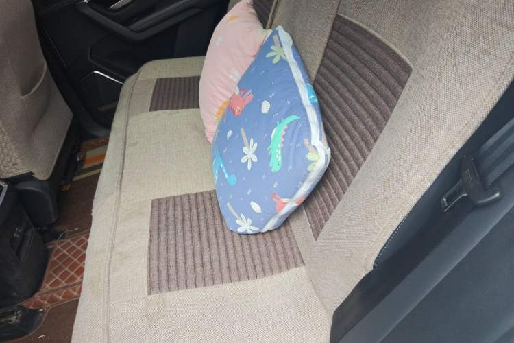 Used BYD Song Pro 2019 1.5T Automatic Elite Edition Left Rear Seat