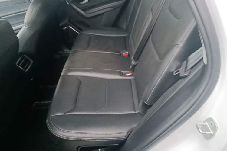 Used BYD Song Pro 2019 1.5T Automatic Elite Edition Left Rear Seat