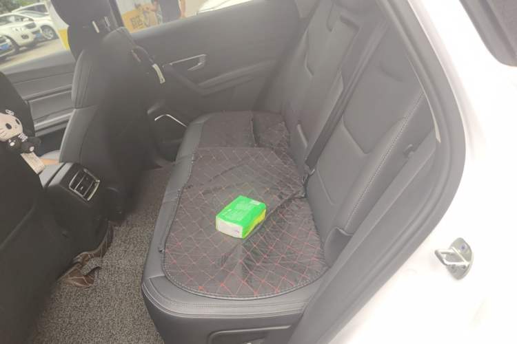 Used BYD Song Pro 2019 1.5T Automatic Luxury Model Left Rear Seat