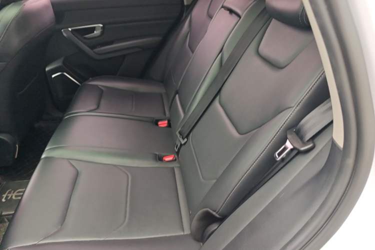Used BYD Song Pro 2019 1.5T Automatic Luxury Model Left Rear Seat
