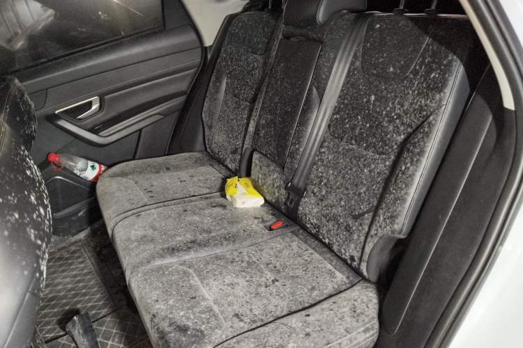 Used BYD Song Pro 2019 1.5T Automatic Luxury Model Left Rear Seat