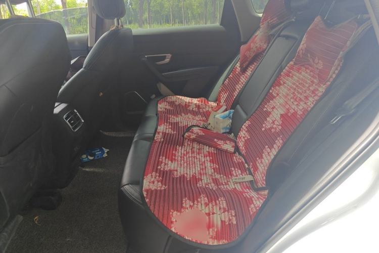 Used BYD Song Pro 2019 1.5T Automatic Luxury Model Left Rear Seat