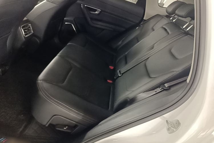 Used BYD Song Pro 2019 1.5T Automatic Luxury Model Left Rear Seat