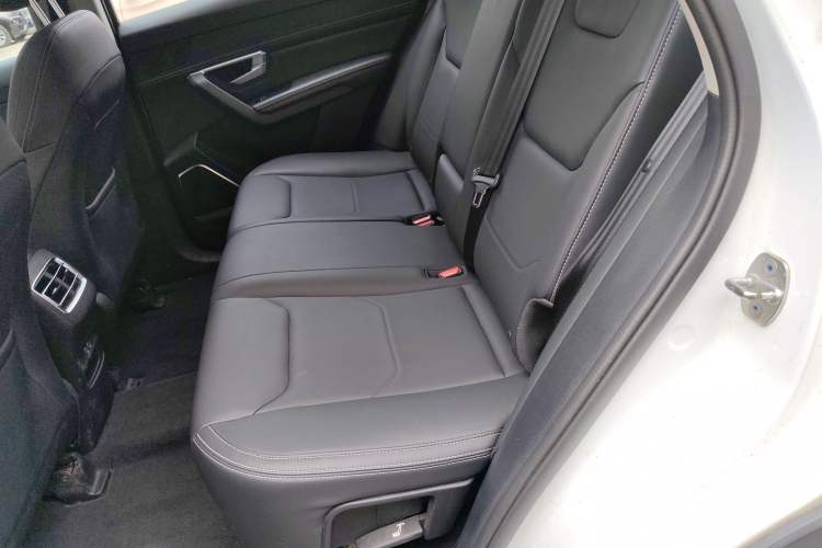 Used BYD Song Pro 2019 1.5T Automatic Luxury Model Left Rear Seat