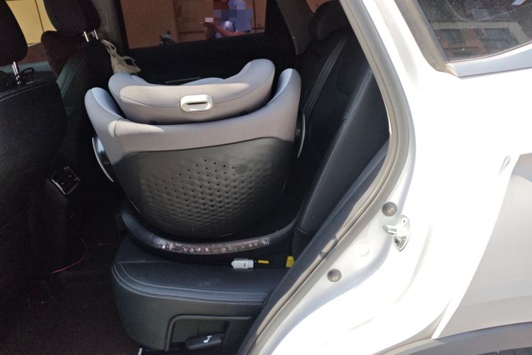 Used BYD Song Pro 2019 1.5T Automatic Luxury Model Left Rear Seat