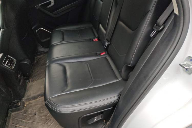 Used BYD Song Pro 2019 1.5T Automatic Luxury Model Left Rear Seat