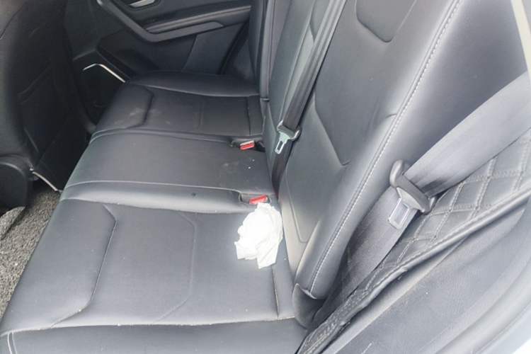 Used BYD Song Pro 2019 1.5T Automatic Luxury Model Left Rear Seat