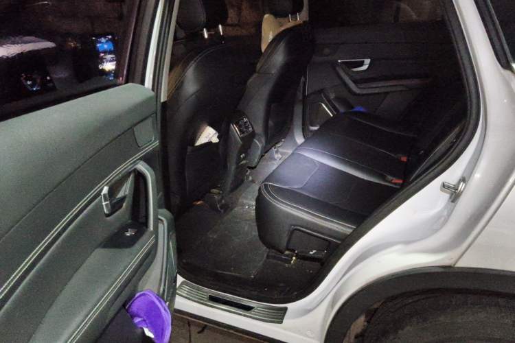 Used BYD Song Pro 2019 1.5T Automatic Luxury Model Left Rear Seat