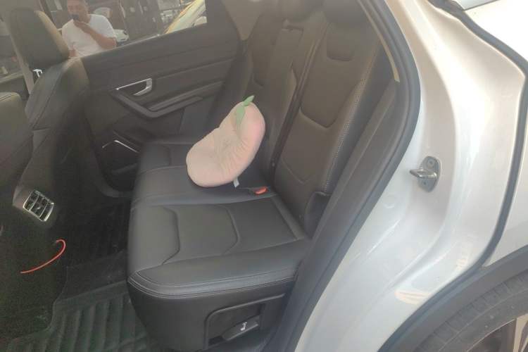 Used BYD Song Pro 2019 1.5T Automatic Elite Edition Left Rear Seat