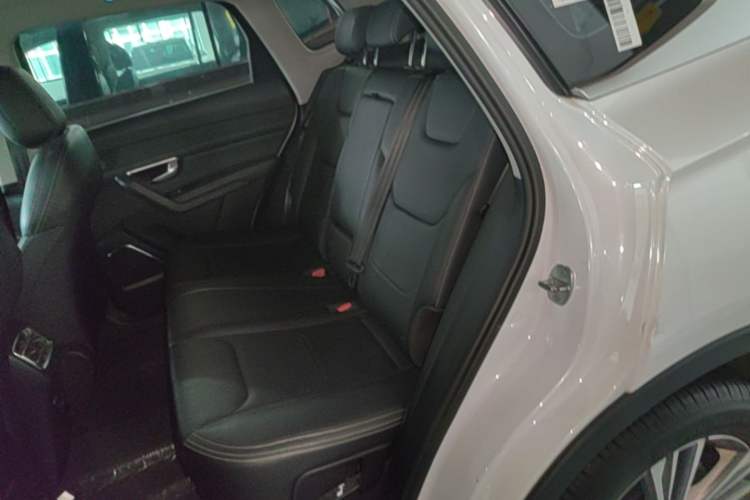 Used BYD Song Pro 2019 1.5T Automatic Luxury Model Left Rear Seat