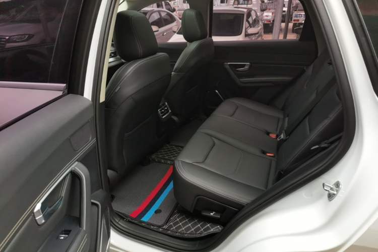 Used BYD Song Pro 2019 1.5T Automatic Luxury Model Left Rear Seat