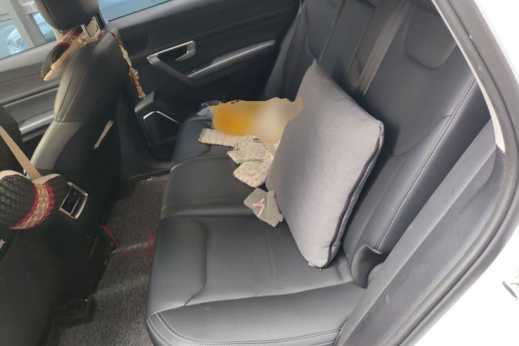 Used BYD Song Pro 2019 1.5T Automatic Elite Edition Left Rear Seat