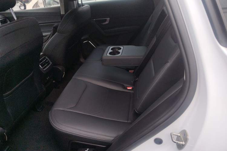 Used BYD Song Pro 2019 1.5T Automatic Luxury Model Left Rear Seat