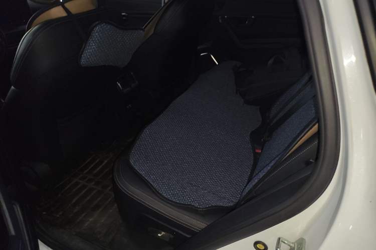 Used BYD Song Pro 2019 1.5T Automatic Elite Edition Left Rear Seat