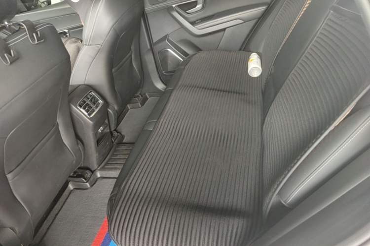 Used BYD Song Pro 2019 1.5T Automatic Luxury Model Left Rear Seat