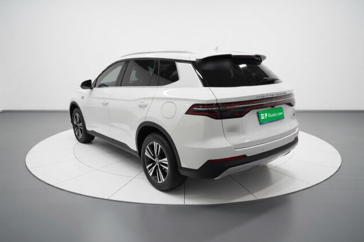 Used BYD Song Pro 2019 1.5T Automatic Elite Edition Rear Left 45 Deg