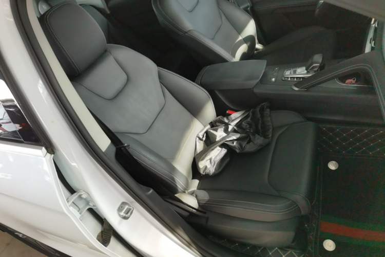 Used BYD Song Pro 2019 1.5T Automatic Elite Edition Right Front Seat