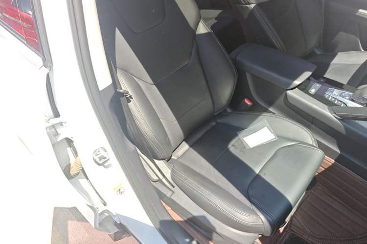 Used BYD Song Pro 2019 1.5T Automatic Luxury Model Right Front Seat