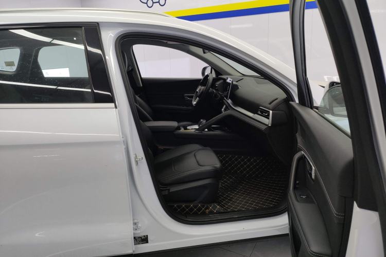 Used BYD Song Pro 2019 1.5T Automatic Elite Edition Right Front Seat