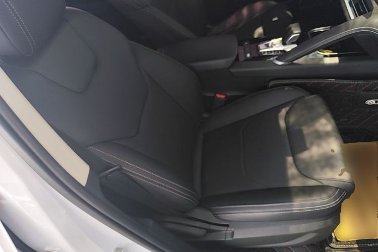 Used BYD Song Pro 2019 1.5T Automatic Elite Edition Right Front Seat