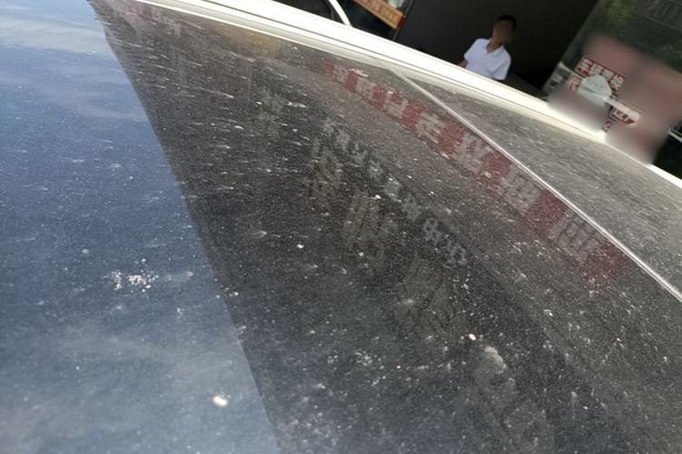 Used BYD Song Pro 2019 1.5T Automatic Luxury Model Roof