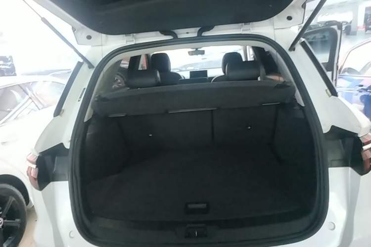 Used BYD Song Pro 2019 1.5T Automatic Elite Edition Trunk