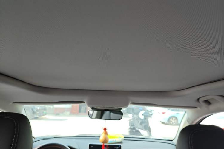 Used BYD Song Pro 2020 1.5T Automatic Pilot Edition Headliner