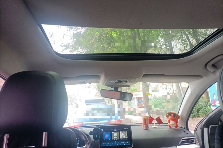 Used BYD Song Pro 2020 1.5T Automatic Pilot Edition Headliner