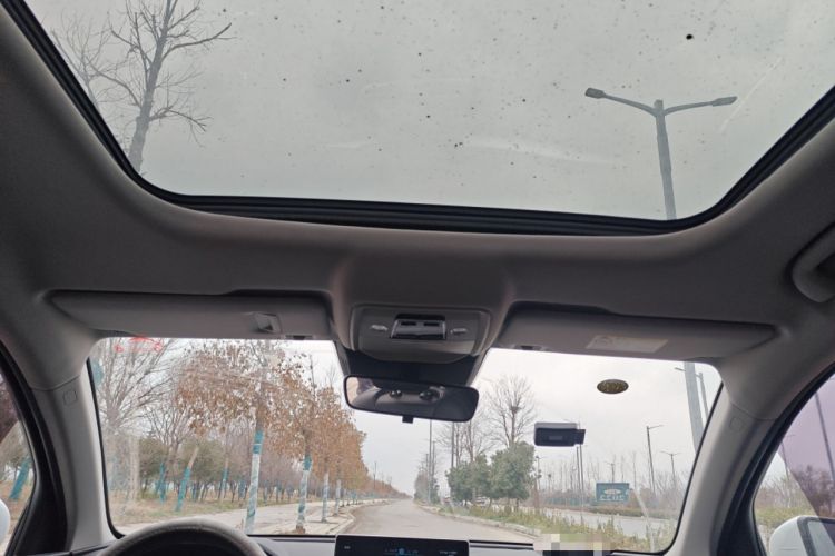 Used BYD Song Pro 2020 1.5T Automatic Pilot Edition Headliner