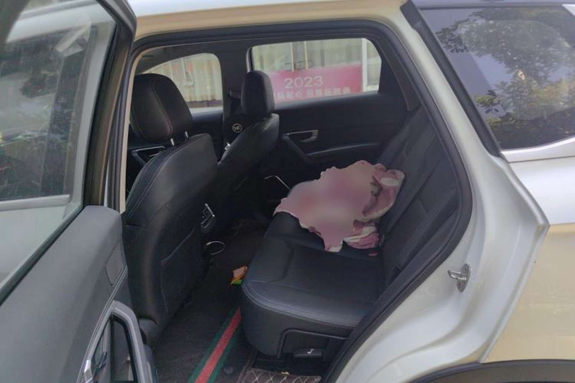 Used BYD Song Pro 2020 1.5T Automatic Pilot Edition Left Rear Seat