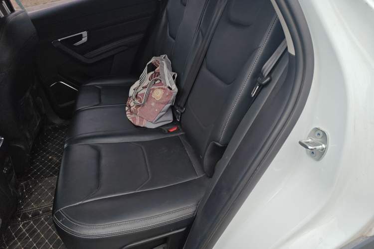 Used BYD Song Pro 2020 1.5T Automatic Pilot Edition Left Rear Seat