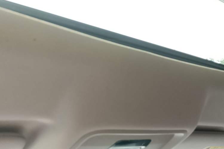 Used BYD Song Pro 2021 1.5T Automatic Luxury Model Headliner