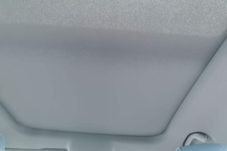 Used BYD Song Pro 2021 1.5T Automatic Xiaoyun Luxury Model Headliner